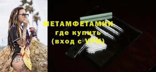прущие грибы Заволжье