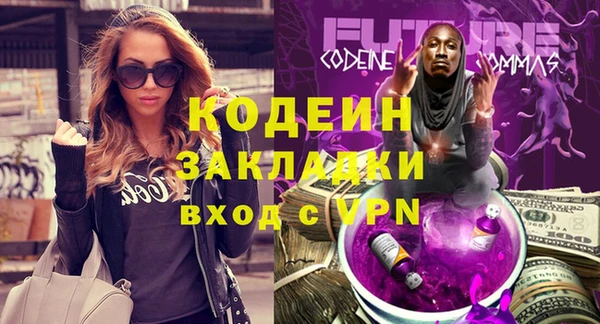 не бодяженный Заводоуковск
