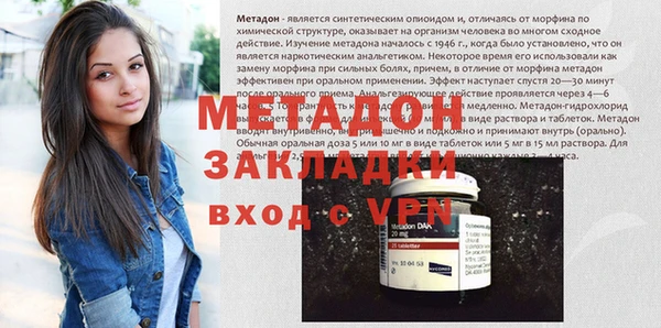 прущие грибы Заволжье