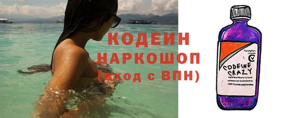 не бодяженный Заводоуковск