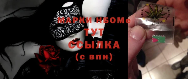 не бодяженный Заводоуковск