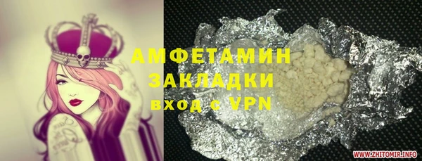 прущие грибы Заволжье