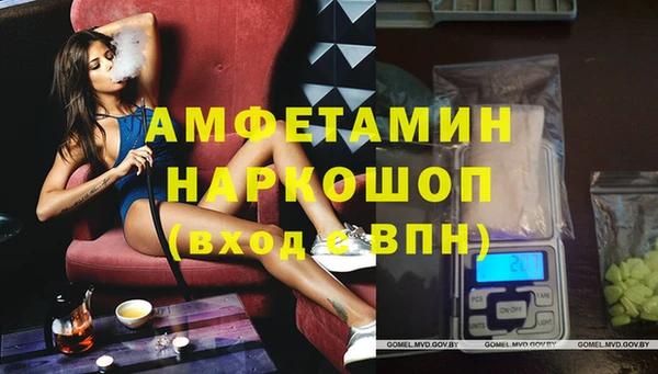 прущие грибы Заволжье