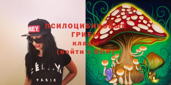 не бодяженный Заводоуковск