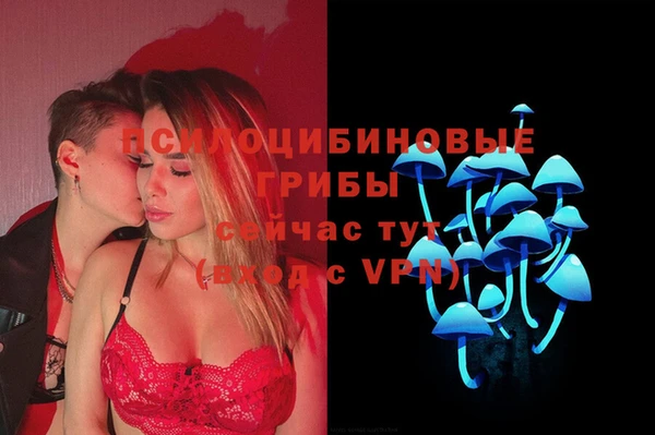 прущие грибы Заволжье