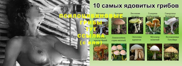 прущие грибы Заволжье