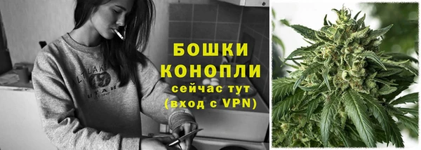 прущие грибы Заволжье