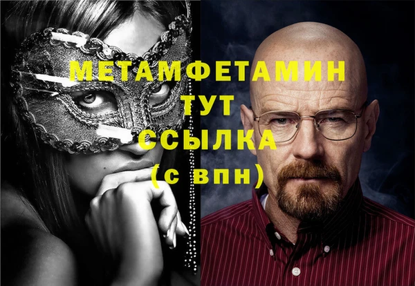 прущие грибы Заволжье
