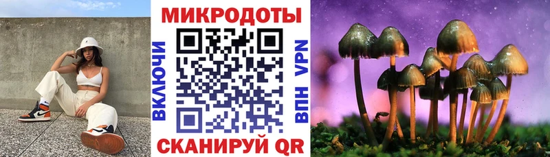 Купить где  Звенигово  Псилоцибиновые грибы Magic Shrooms 